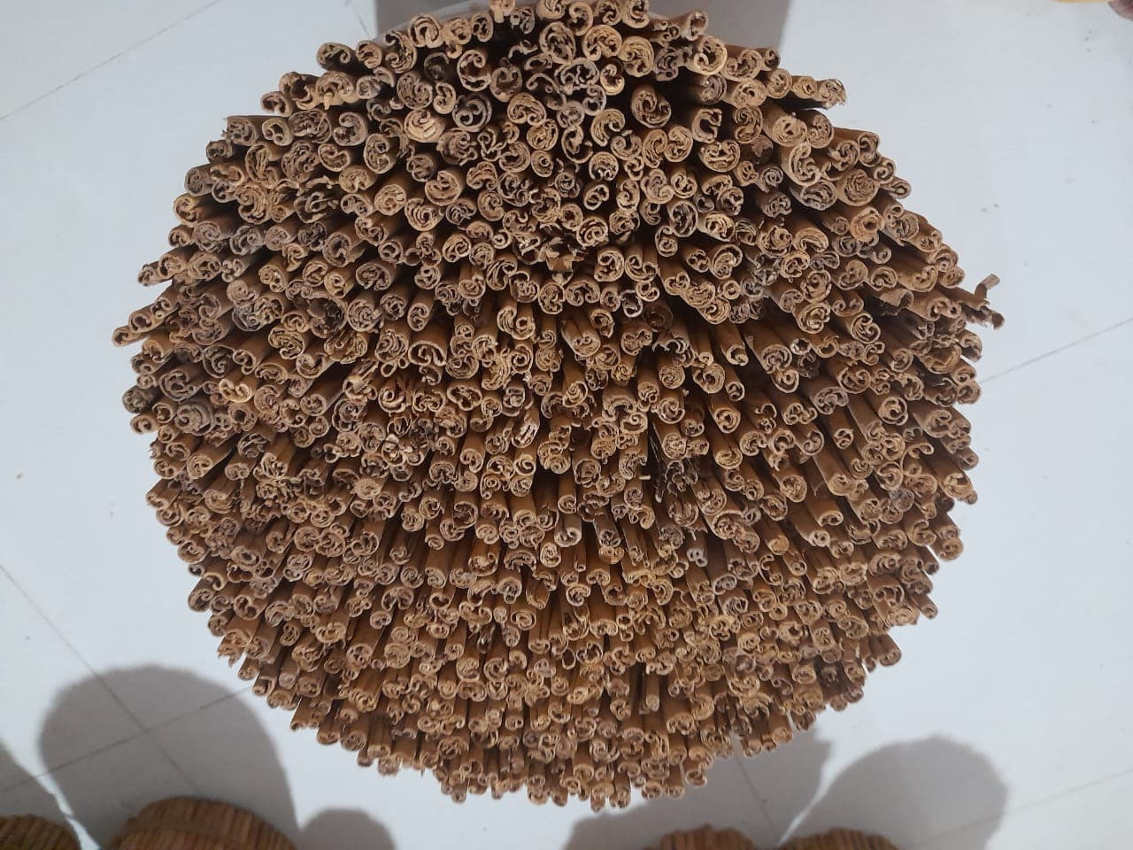 Close-up of Alba Special Quills cinnamon