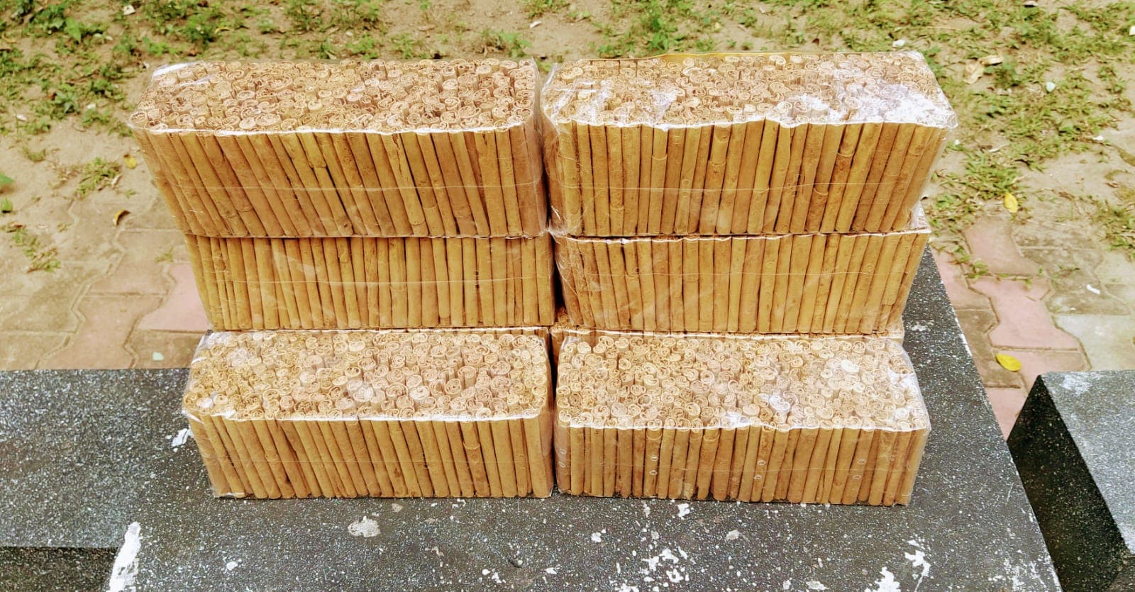 Close-up of C5 Quills cinnamon