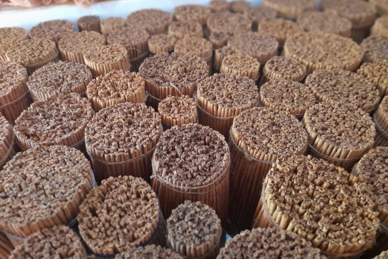 Close-up of M4 Quills cinnamon